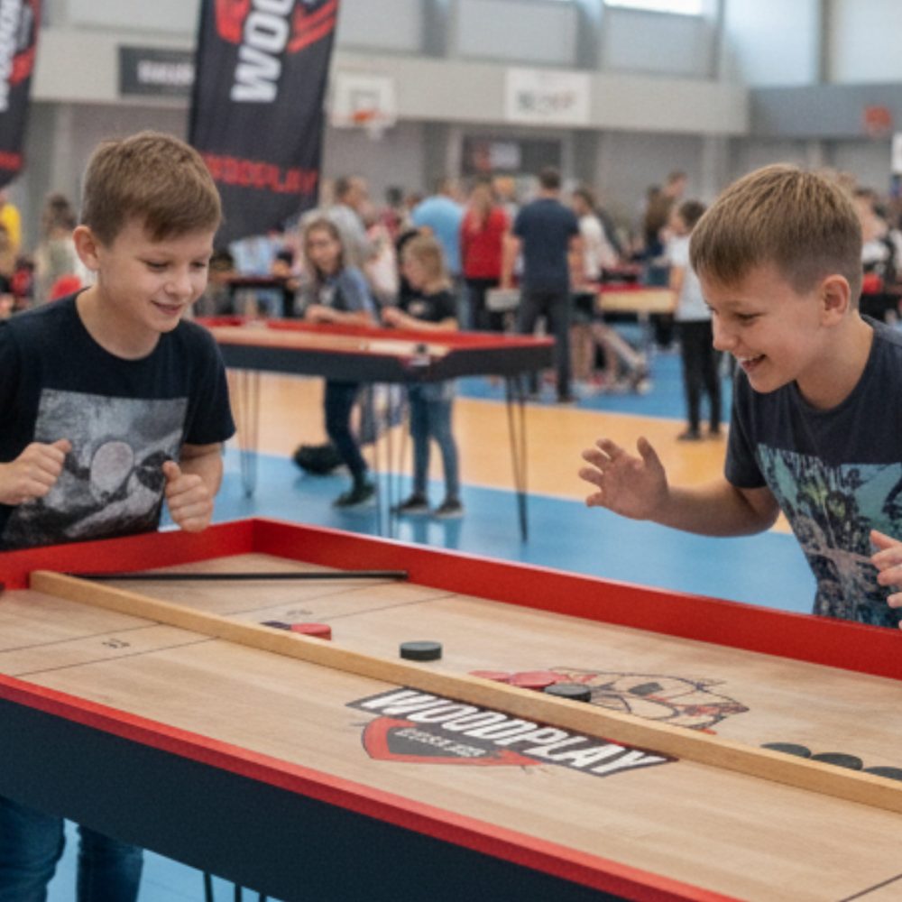 Gra WOODPLAY 24